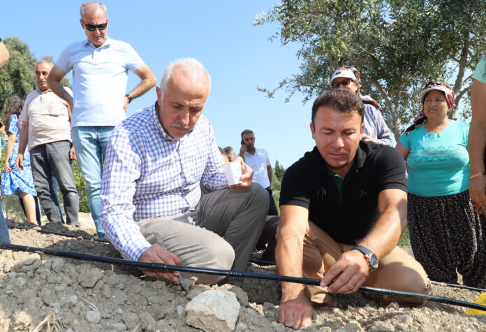 melemez şevketi bostan tohumu ekimi-1