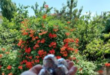 BAYRAMIMIZ KUTLU OLSUN