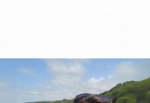 Eğitimci Yazar Birsen SEVİL DURSUN’dan Bayram ve Babalar Günü Mesajı