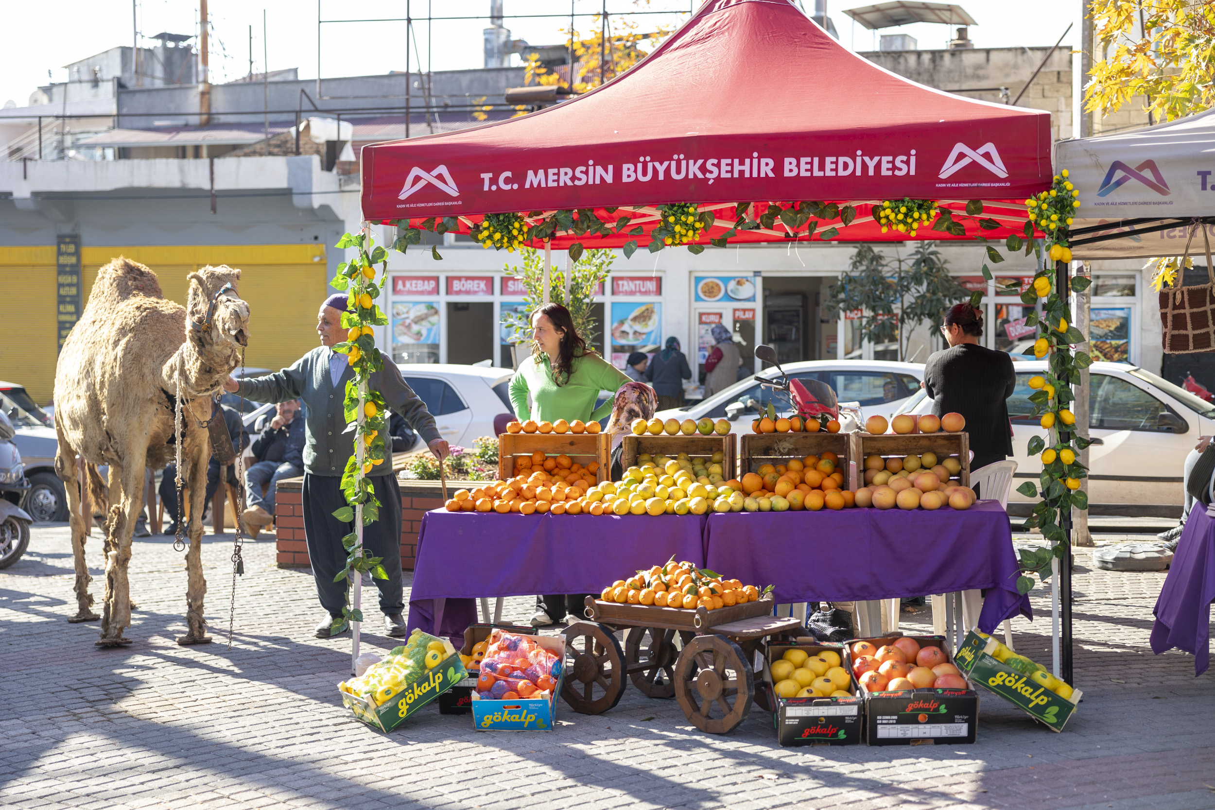 YERLİ MALI HAFTASI BÜYÜKŞEHİR İLE TÖMÜK’TE HAYAT BULDU (5)