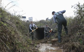 BÜYÜKŞEHİR, SİVRİSİNEK ÜREME ALANLARINI KAYNAĞINDA YOK EDİYOR