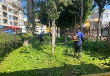 AKDENİZ BELEDİYESİ, PARK VE YEŞİL ALANLARA BAKIM YAPIYOR