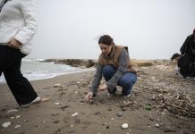 MERSİN BÜYÜKŞEHİR MINKA PROJESİ İLE GENÇLERİ BİLİMSEL VERİ TOPLAMAYA TEŞVİK EDİYOR