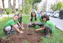 23 Nisan’da Koltuğa Oturan Buğlem, Yenilettiği Parka Fidan Dikti