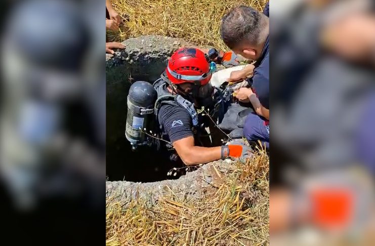 18 METRELİK KUYUYA DÜŞEN KEÇİ, İTFAİYE EKİPLERİNCE KURTARILDI